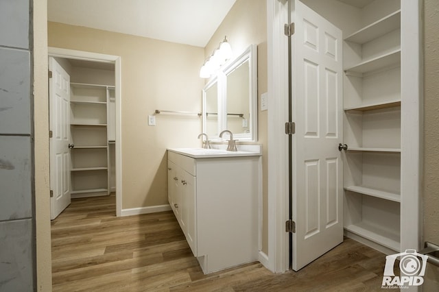 bathroom with hardwood / wood-style flooring and vanity