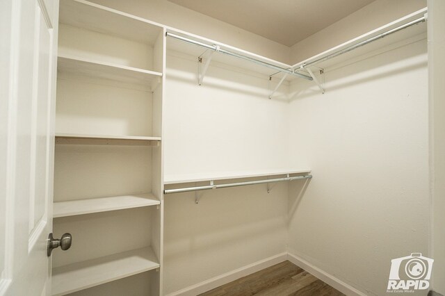 walk in closet with wood-type flooring