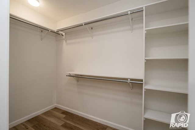 walk in closet with hardwood / wood-style flooring