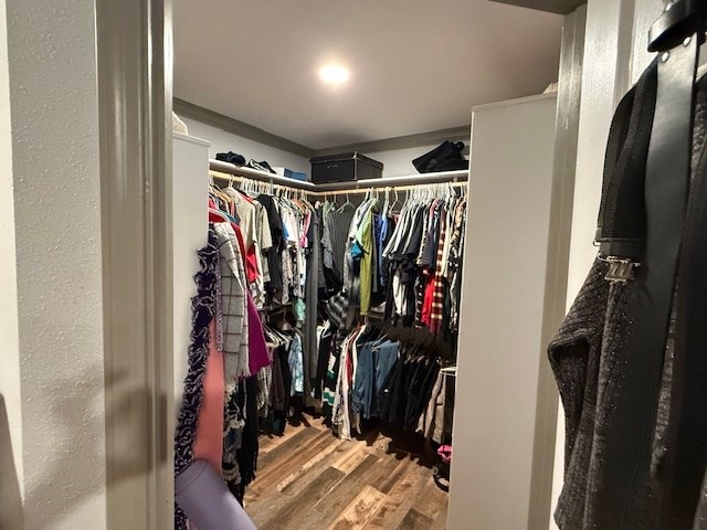 spacious closet featuring wood finished floors