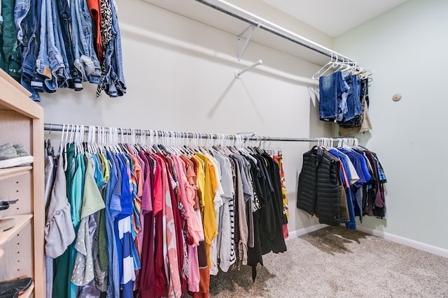 walk in closet with carpet floors