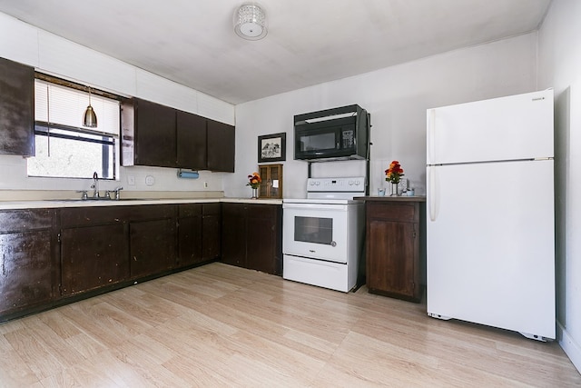 kitchen with dark brown cabinetry, sink, white appliances, and light hardwood / wood-style flooring