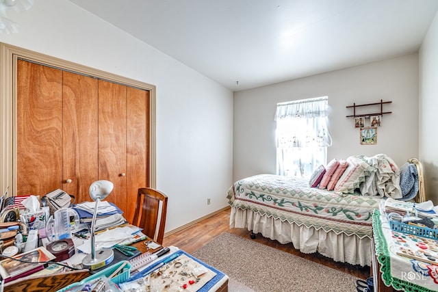 bedroom with wood-type flooring and a closet