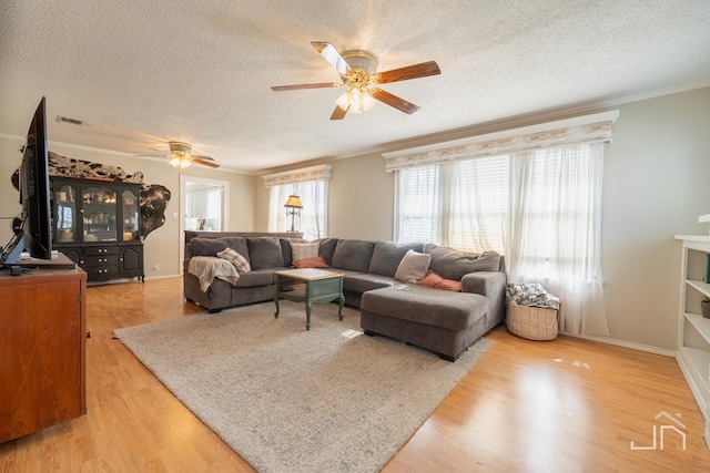 living room with light wood finished floors, a textured ceiling, ceiling fan, and ornamental molding