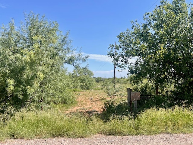 0 Obryan Ln, San Angelo, TX 76905 - photo 3