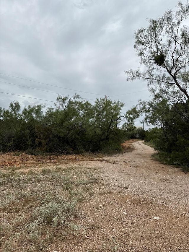 816 Marina Ln Unit 2, Robert Lee, TX 76945 - photo 1