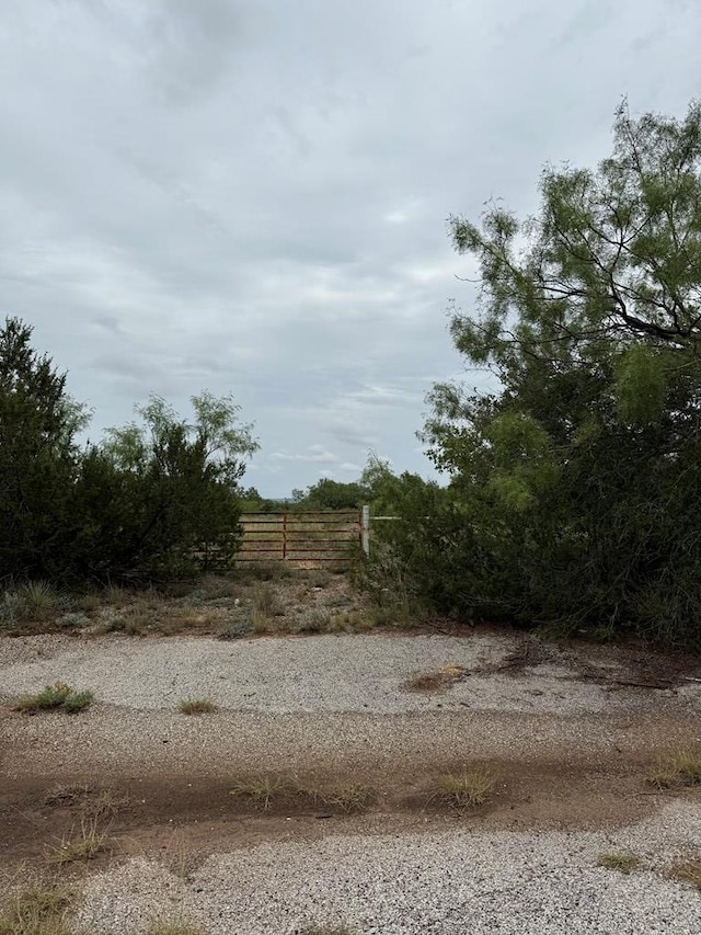 816 Marina Ln Unit 2, Robert Lee, TX 76945 - photo 8