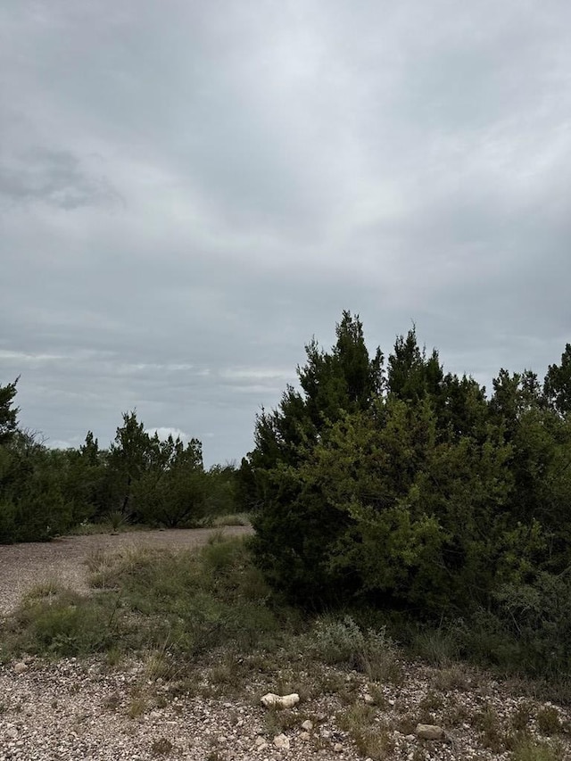 816 Marina Ln Unit 2, Robert Lee, TX 76945 - photo 2