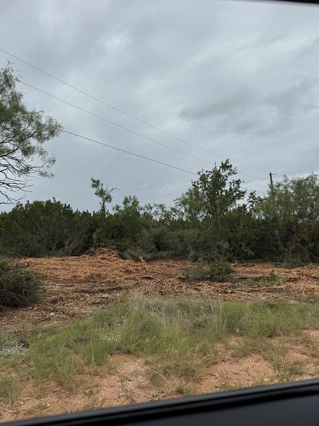 816 Marina Ln Unit 2, Robert Lee, TX 76945 - photo 4