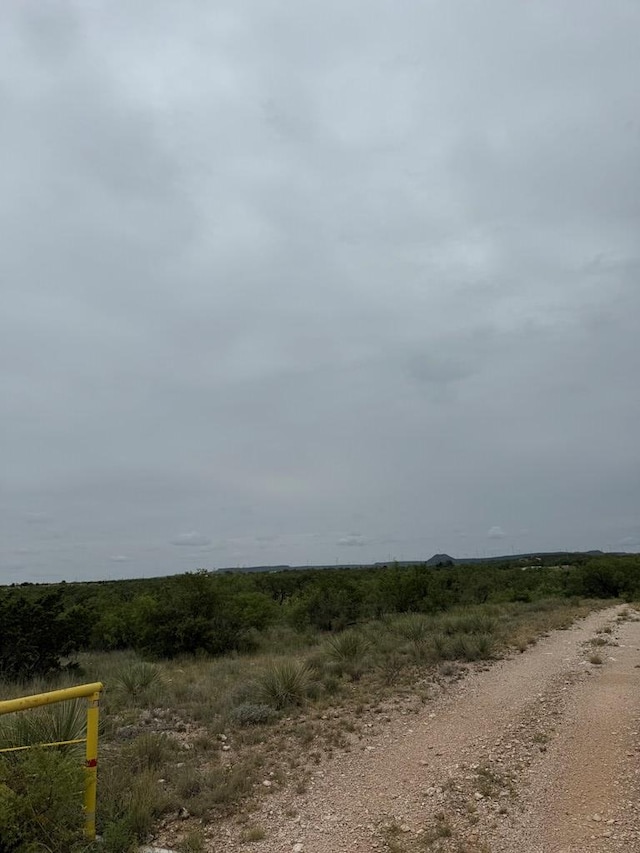816 Marina Ln Unit 2, Robert Lee, TX 76945 - photo 3