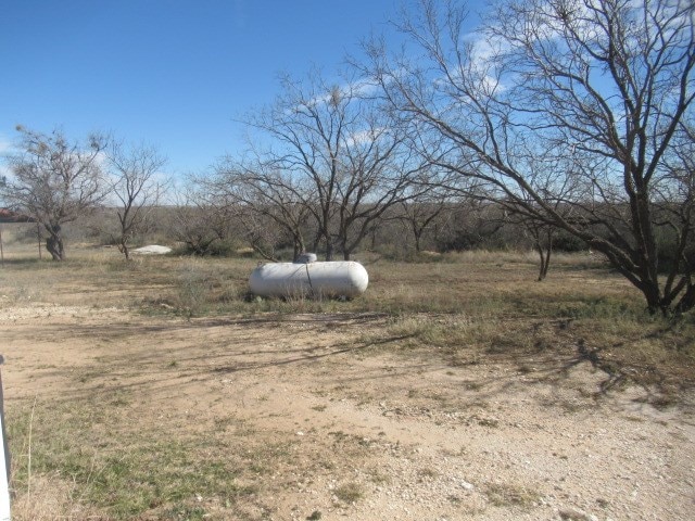 view of yard with a rural view