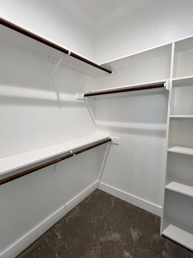 spacious closet with dark colored carpet