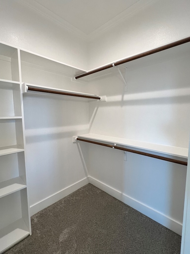 spacious closet featuring dark colored carpet