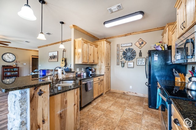3537 Buck Run, San Angelo, TX 76901 - kitchen featuring ornamental molding, visible vents, a sink, a peninsula, and appliances with stainless steel finishes