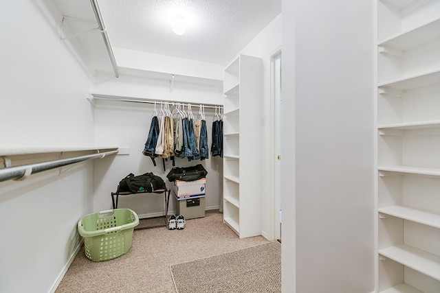 4413 Pinon Ridge Dr, San Angelo, TX 76904 - spacious closet featuring carpet floors