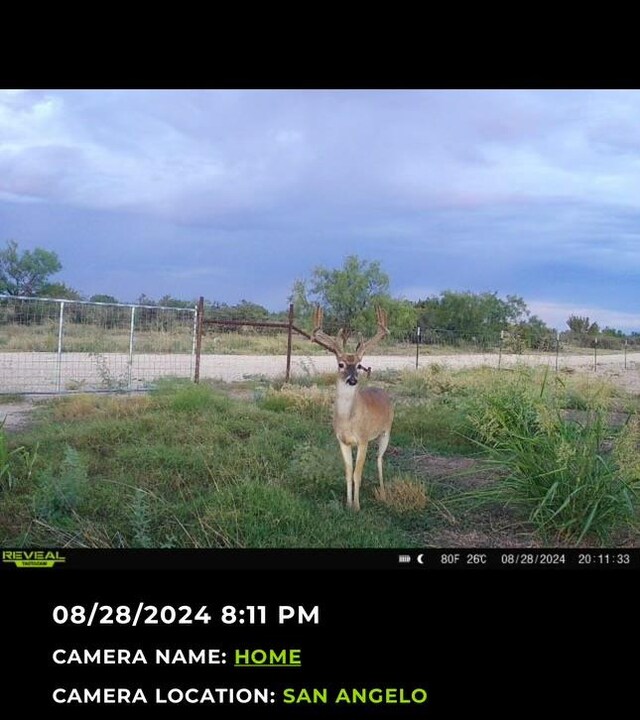16033 Door Key Rd, San Angelo, TX 76904 - photo 58