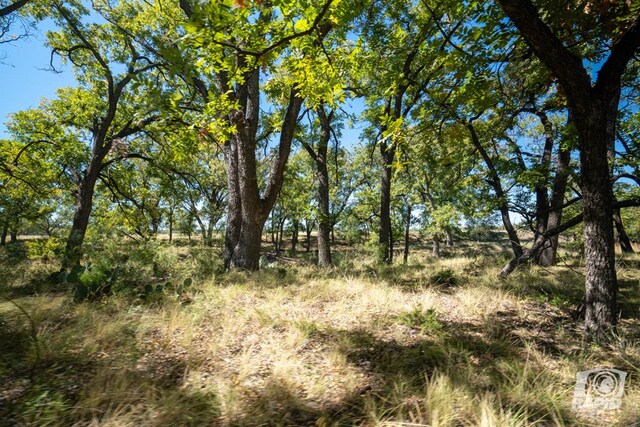 16033 Door Key Rd, San Angelo, TX 76904 - photo 43