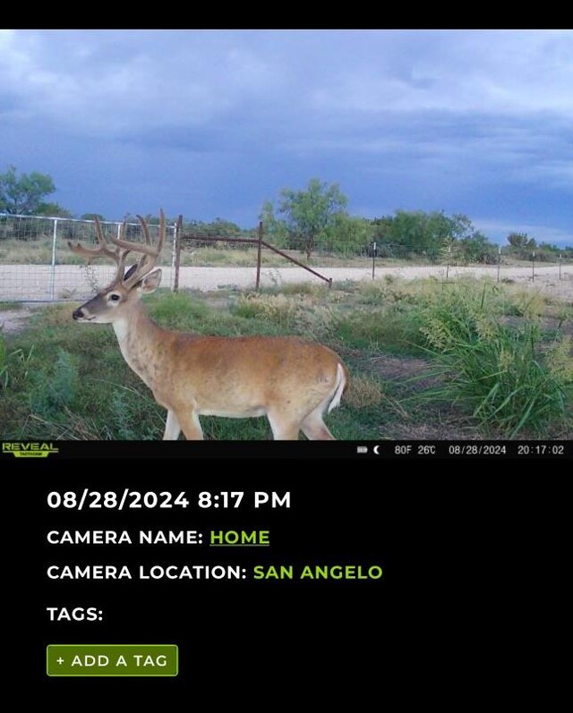 16033 Door Key Rd, San Angelo, TX 76904 - photo 57