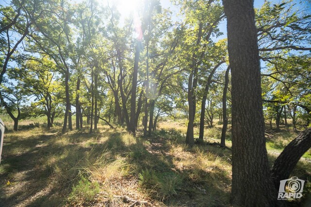 16033 Door Key Rd, San Angelo, TX 76904 - photo 45