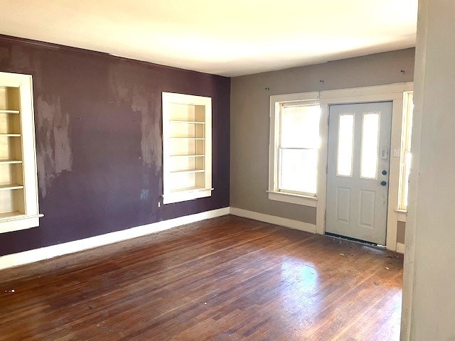 entrance foyer featuring dark wood-type flooring