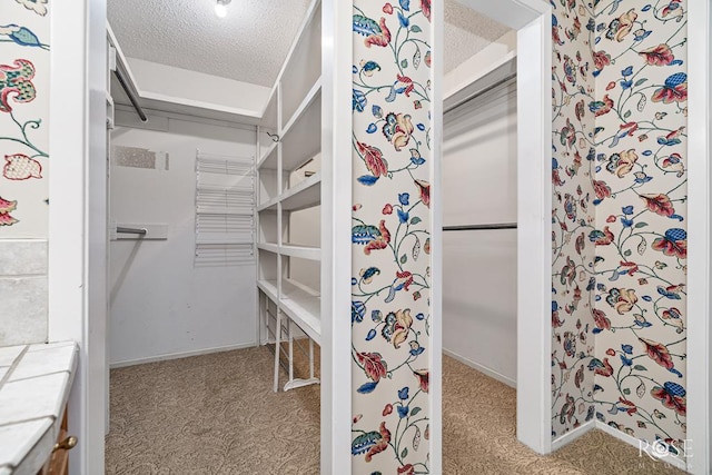 3222 Oak Mountain Trl, San Angelo, TX 76904 - spacious closet with carpet