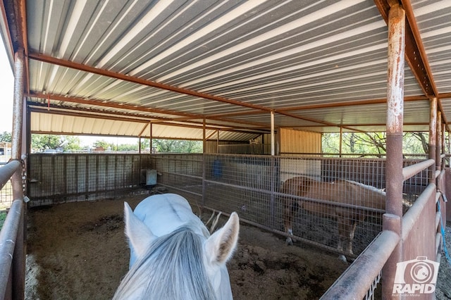 view of horse barn