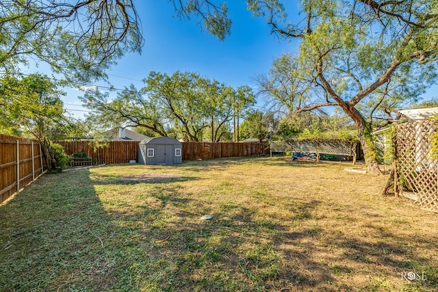 view of yard featuring a shed