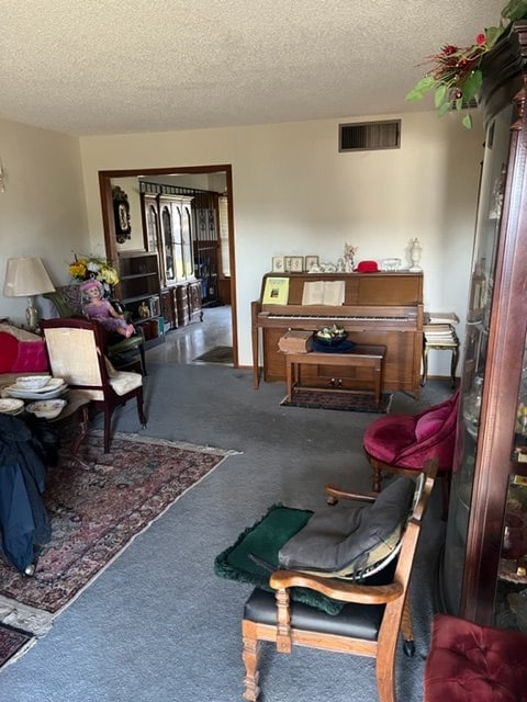 living room with a textured ceiling and carpet flooring