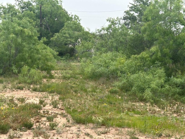 0 17th St Unit 0.255, San Angelo, TX 76903