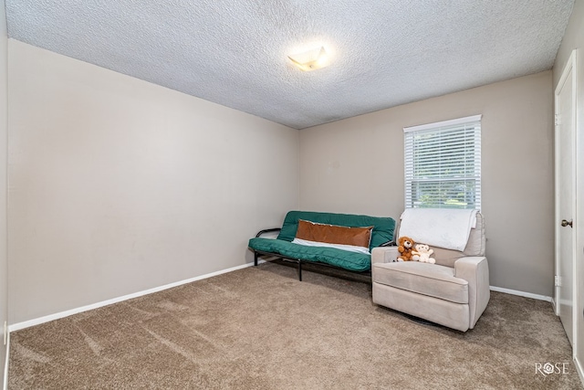 213 Amistad Rd, San Angelo, TX 76901 - sitting room featuring carpet and a textured ceiling