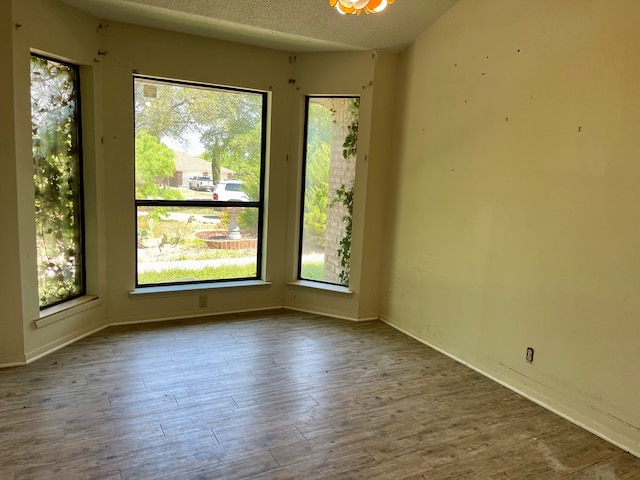 165 Edinburgh Rd, San Angelo, TX 76901 - empty room featuring plenty of natural light, baseboards, and wood finished floors