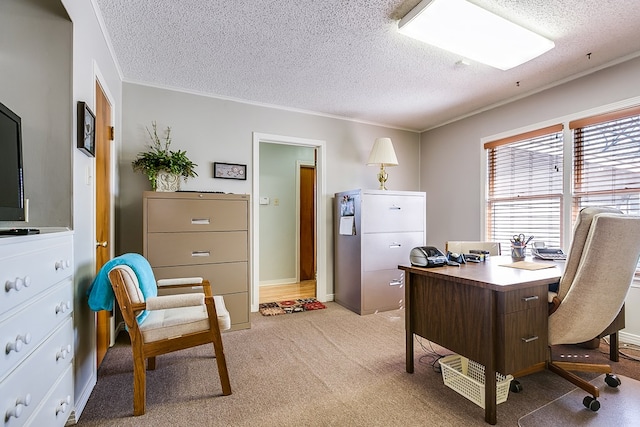 carpeted office with ornamental molding and a textured ceiling