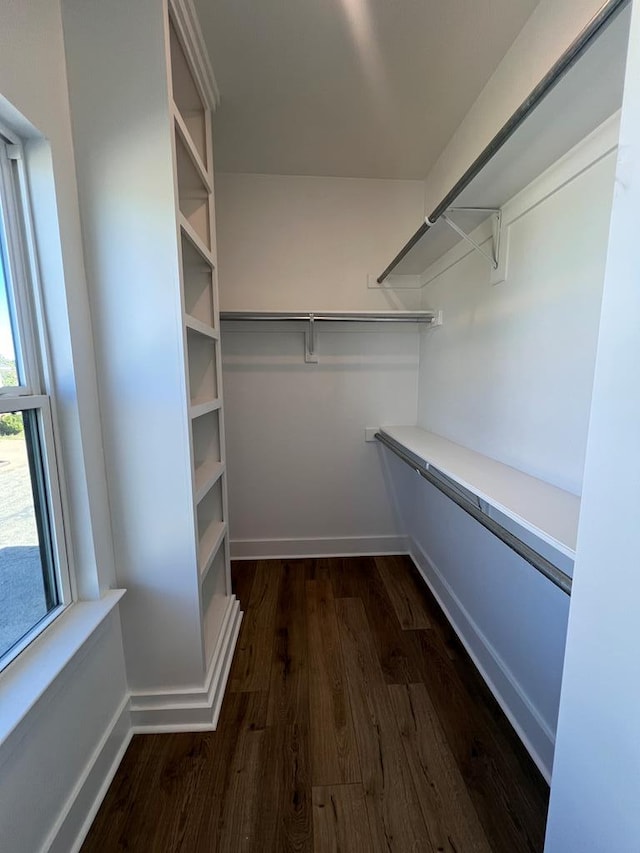 walk in closet featuring dark wood-type flooring