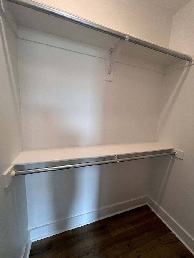 spacious closet featuring dark wood-type flooring