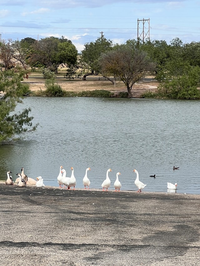 water view