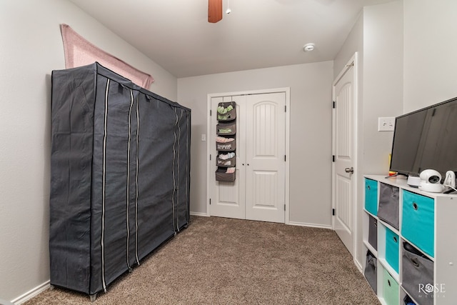 storage featuring ceiling fan