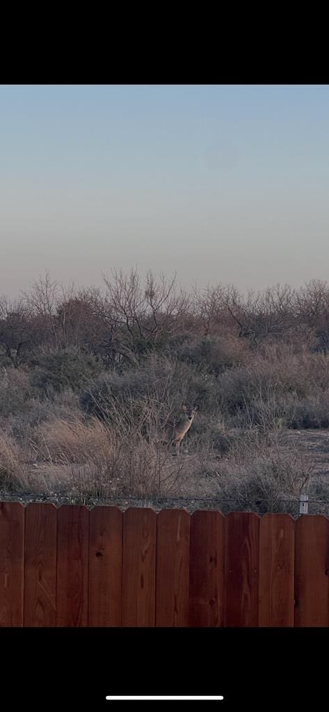 1609 Club House Ln, San Angelo, TX 76904 - view of yard