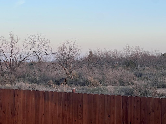 1609 Club House Ln, San Angelo, TX 76904 - view of yard