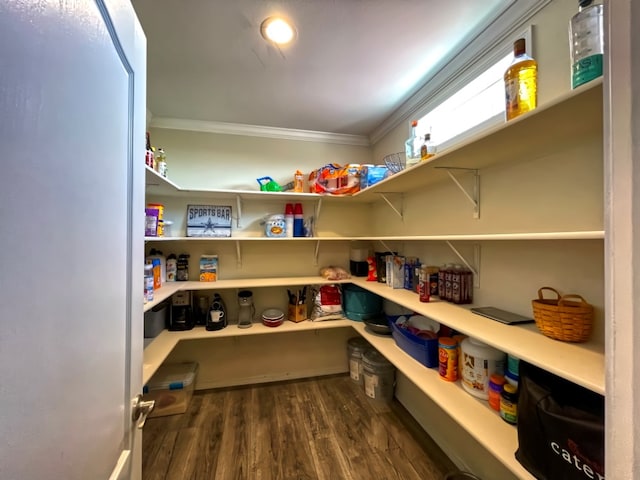 view of pantry