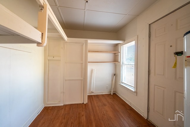 walk in closet with wood-type flooring