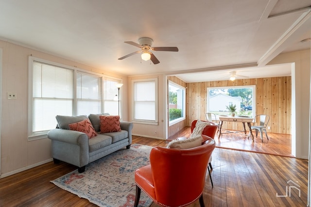 living room with ceiling fan and dark hardwood / wood-style flooring