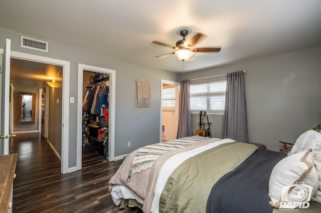 bedroom with a walk in closet, dark wood-type flooring, ceiling fan, and a closet