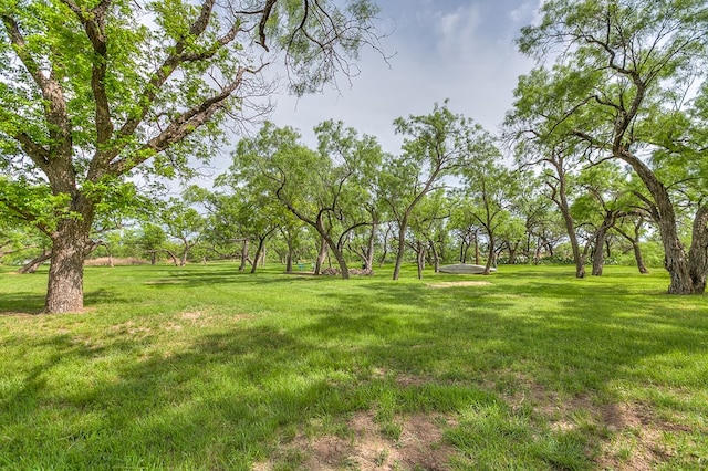 6290 Stokes Rd, San Angelo, TX 76904 - view of grassy yard