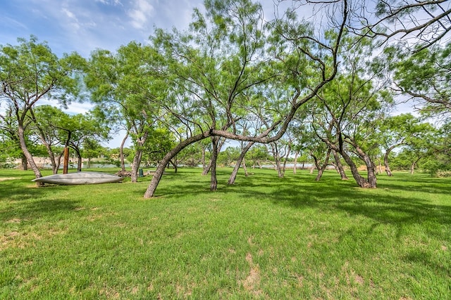 6290 Stokes Rd, San Angelo, TX 76904 - view of green lawn