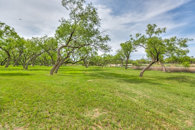 6290 Stokes Rd, San Angelo, TX 76904 - view of green lawn