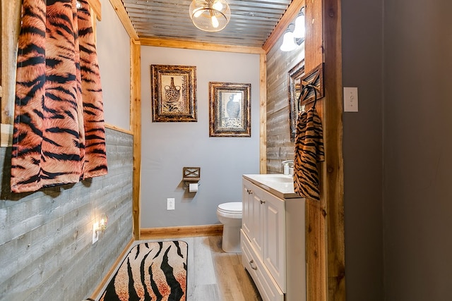 bathroom featuring vanity, hardwood / wood-style flooring, and toilet