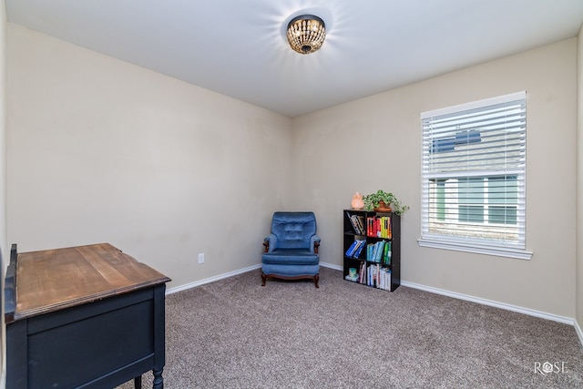 sitting room with carpet floors