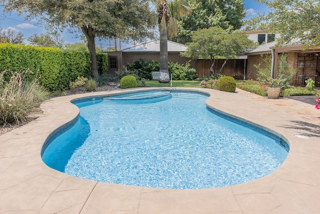 view of swimming pool with a patio