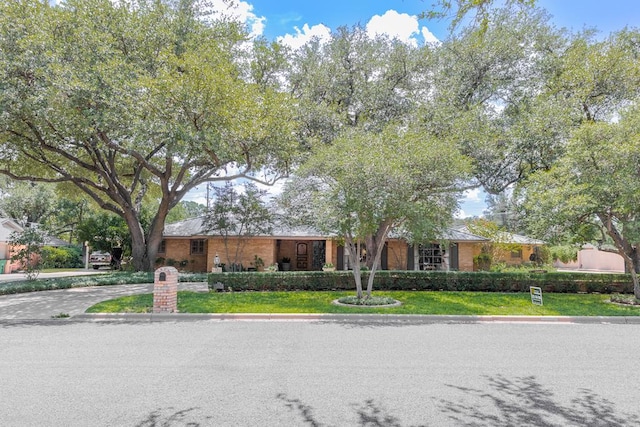 view of front of home featuring a front yard