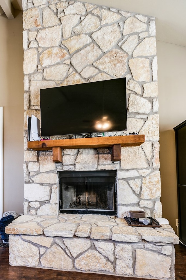 details featuring wood-type flooring and a stone fireplace